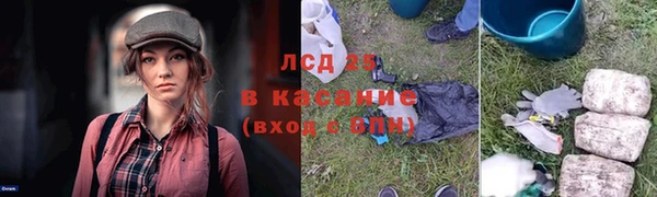 стаф Елабуга