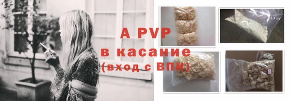 стаф Елабуга