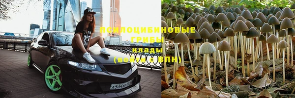 винт Гусев