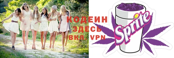 стаф Елабуга