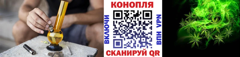 MEGA как зайти  Лермонтов  Конопля семена 